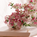 JOB DESCRIPTIONS WOMENS MINISTRY