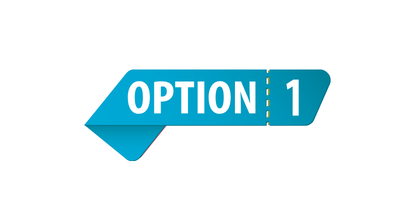 option 2 2