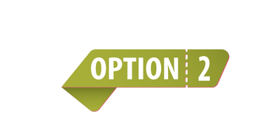 option 2